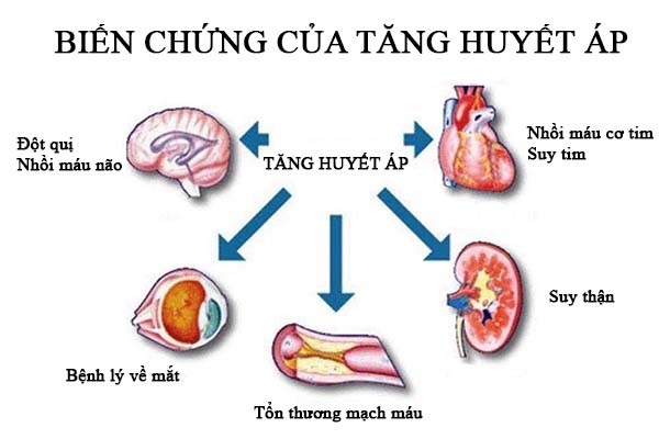 7. Các chất kích thích